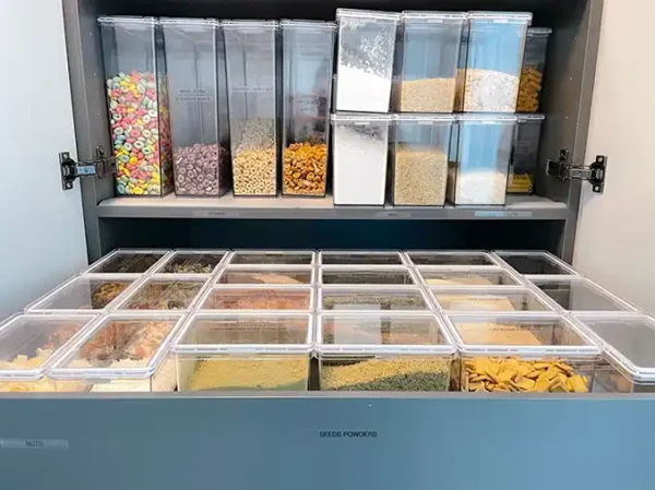 Organización profesional